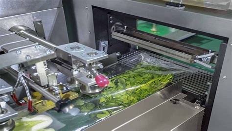 Image result for Vegetable Packing Machine