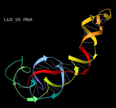 RNA Atomic Structure 的图像结果