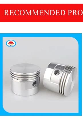 Company Overview - Shijiazhuang Gaosheng Auto Parts Make Co., Ltd.