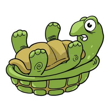 Image result for Ninja Turtle Shell Back Animation