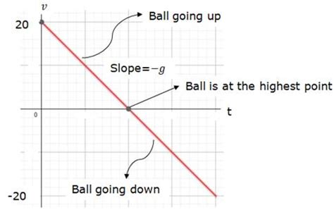 A ball is thrown vertically upward with a speed of 20 m/s. Draw a graph ...