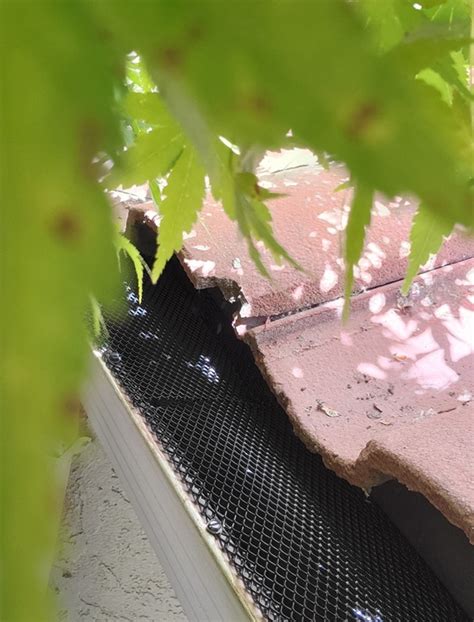 SmartScreen Gutter Guard Installation 的图像结果