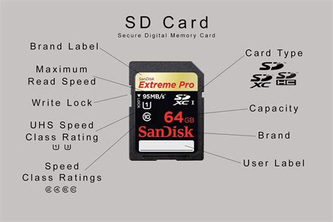 SanDisk lancia scheda SD da 1 TB - Macitynet.it