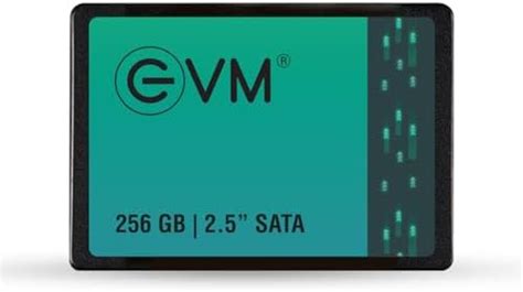 Amazon.in: Buy EVM M.2 (2280) 256GB SATA Internal SSD - Read: 530MB/s ...