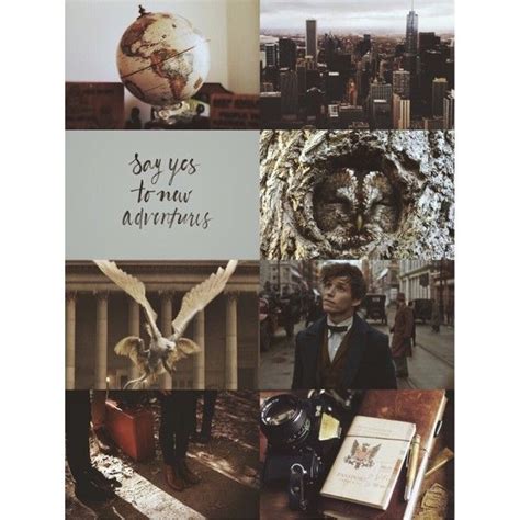 Pin by Cloé Moutschen on puzzle | Newt scamander aesthetic, Harry ...