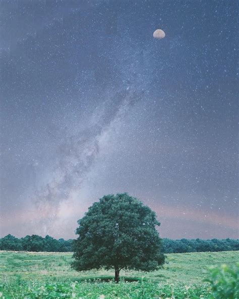 Image result for Collage Using GIMP