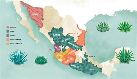 Mezcal vs Tequila - What’s the Difference? — Smartblend