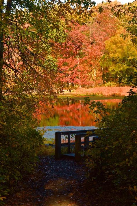 Turkey Swamp Park, Freehold holiday accommodation: holiday houses ...