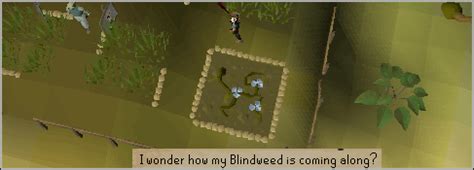 Image result for Rum Deal Quest Guide