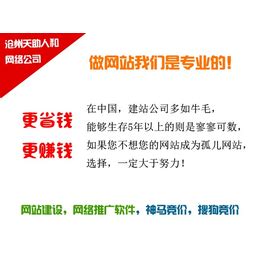 天集科莱恩化工助剂（沧州）有限公司开业仪式