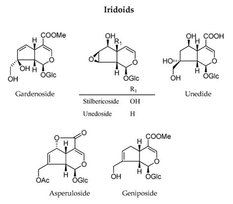 Contribution of Flavonoids and Iridoids to the Hypoglycaemic ...