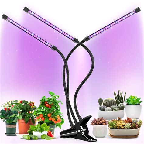 Best Grow Lights for Seedlings: Top Picks for Optimal Growth