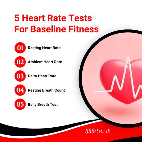 Testing Heart Rate 的图像结果