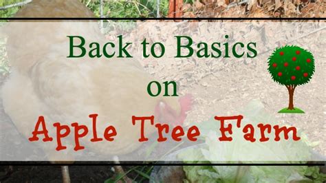 Image result for Apple Tree Farm