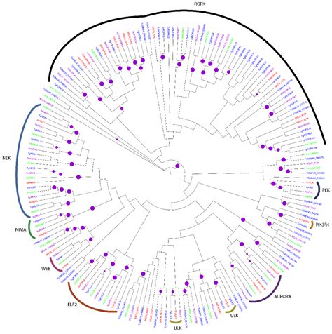 Genome-Wide Identification and Evolutionary Analysis of Sarcocystis ...