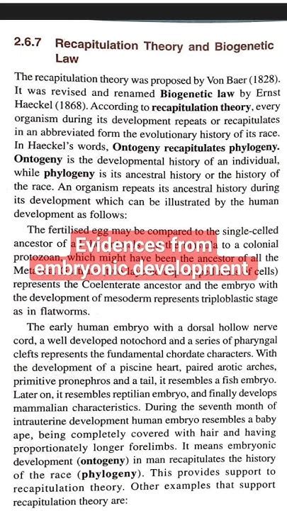BioGenetic 的图像结果