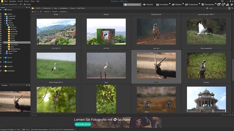 ACDSee Free – ab sofort kostenlos zum Download zur Verfügung — FOTOCULT ...