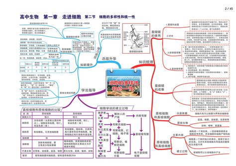 Biology Mind Map 的图像结果