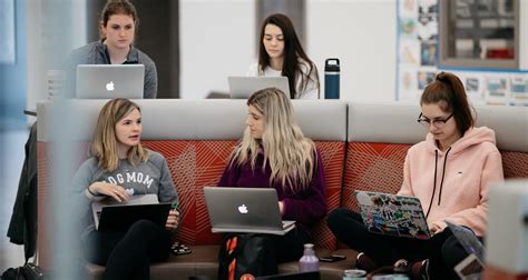 Web Designer Program 的图像结果