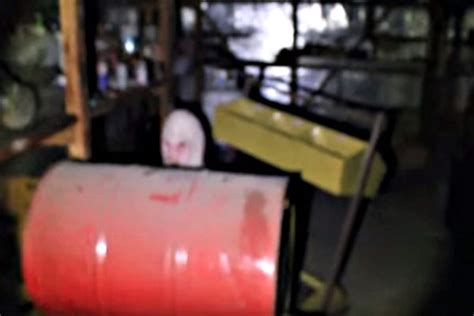 Alien On Video 的图像结果