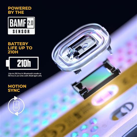 O2 Model 的图像结果