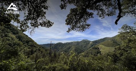 Image result for Sd-Sf Tutorial