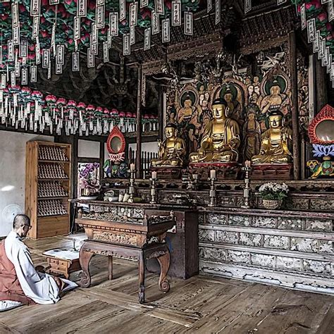 The Gateless Gate and the door of Mu!: "Does a dog have Buddha Nature ...