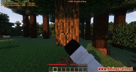 Project MMO Mod Commands 的图像结果