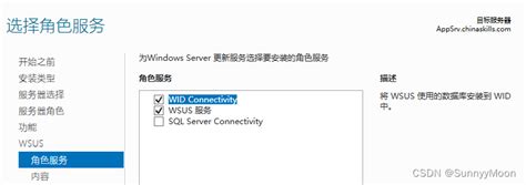 WSUS Tutorial 的图像结果