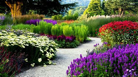 Flower 的图像结果