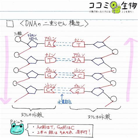 Image result for Loops Definition Computer Science