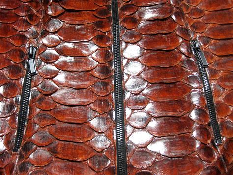 Image result for Embroider Python Skin