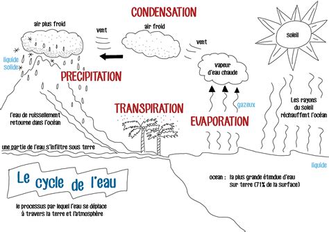 cycle_eau - Les activités de maman