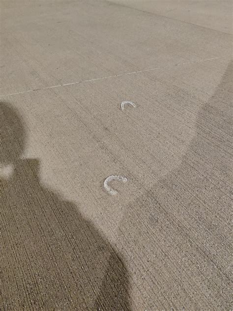 Retainers on the ground outside main gym??? : r/UCSD