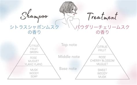 KESHIKI Shampoo Professional for damaged and dry hair, 480 ml - buy ...