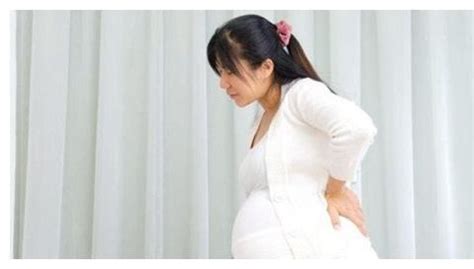 孕妇怀孕6个多月，坐车回娘家，一路四小时吐到家|怀孕|孕妇|出行_新浪新闻