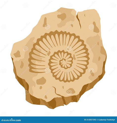 How Much Fossil Stone Do You Need For Your Next Project?