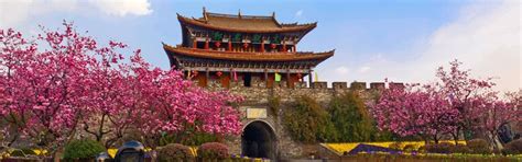 Kunming Weather: Best Time to Visit for Scenery, Costs, and More (2026)