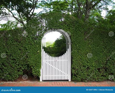 Arched Garden Arbor and Gate Stock Photo - Image of fence, trellis ...