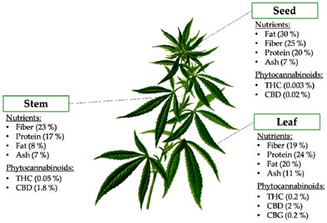 Cannabis sativa Cannabinoids as Functional Ingredients in Snack Foods ...