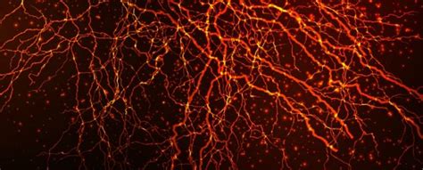 Image result for Science Entropy Pictures