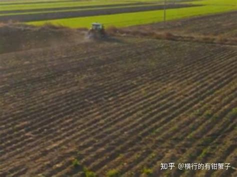 湖北随州广水遭遇旱情 土地龟裂农作物干枯-图片频道