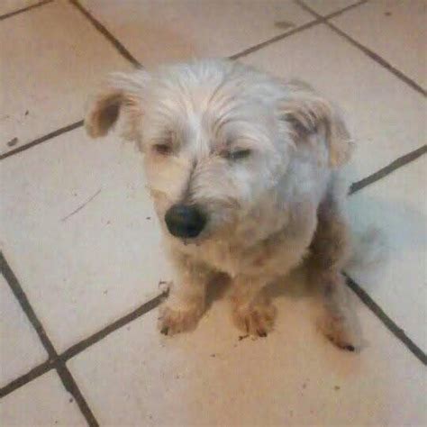 Image result for Patsy Stone Moments