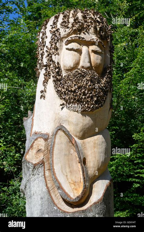 Image result for Complex Tree