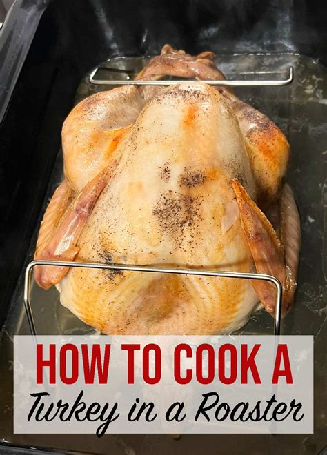 How to Cook a Turkey in a Roaster 的图像结果