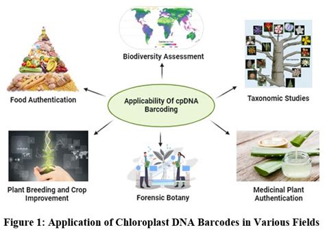 Image result for Forensic Botany DNA Barcoding