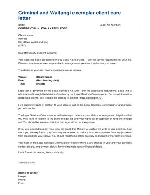 Fillable Online Public-Access-Model-Client-Care-Letter-to-the- ... Fax ...