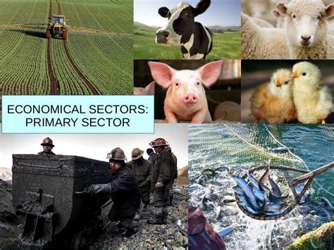 Image result for Primary Sector