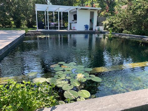 Natural Swimming Pools Let You Ditch the Chlorine