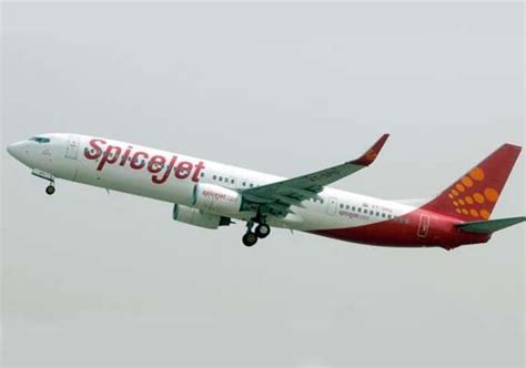 Image result for SpiceJet TV